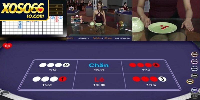 Luật chơi xóc đĩa trực tuyến chi tiết cho bạn 