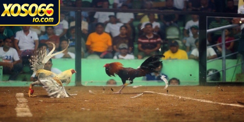 Kết quả cuối cùng xác định dựa trên tình huống cụ thể